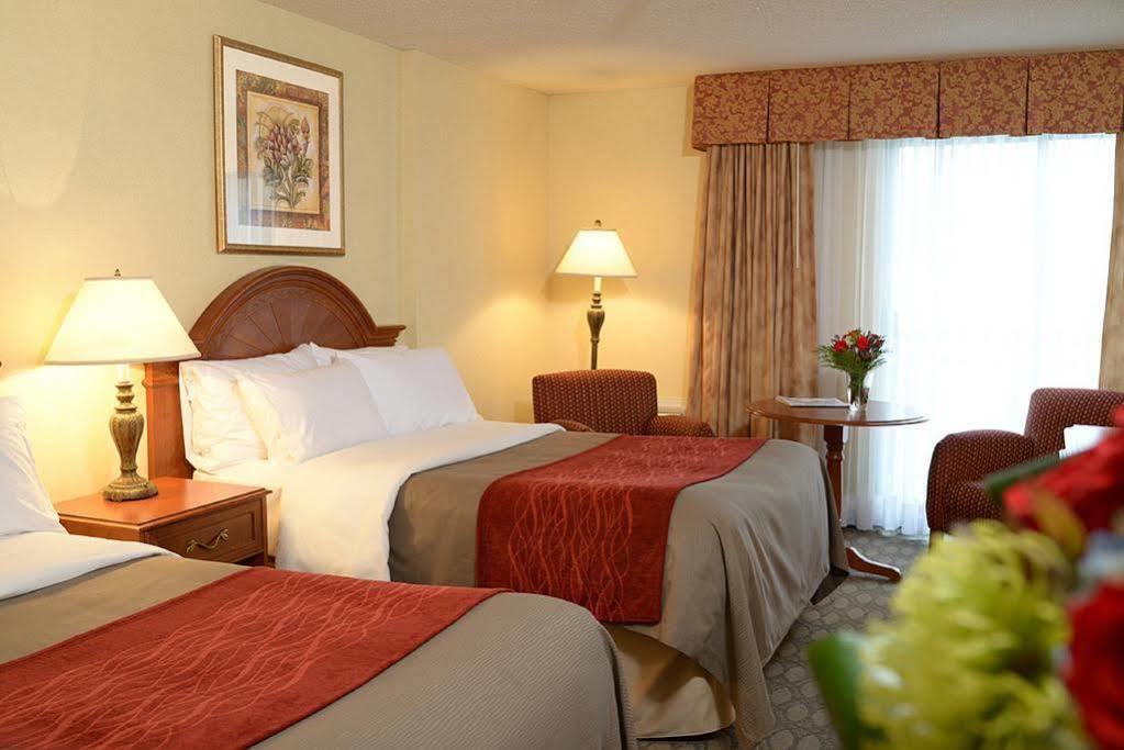 Gasthof Comfort Fallsview